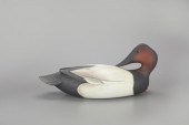 PREENING CANVASBACKGeorge Stru