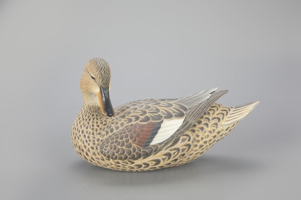 PREENING GADWALL HENBen A.