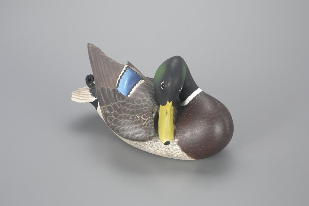 PREENING MALLARDLemuel T. Ward