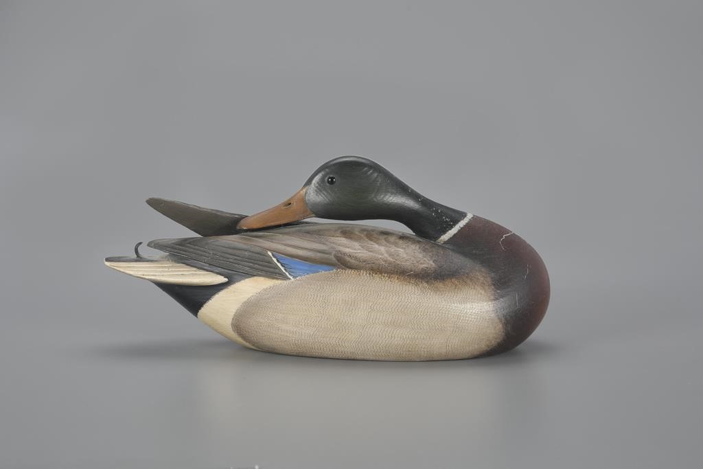 PREENING MALLARDWilliam Gibian