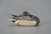 PREENING MALLARDWilliam Gibian