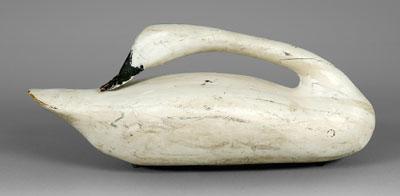 Preening swan confidence decoy,