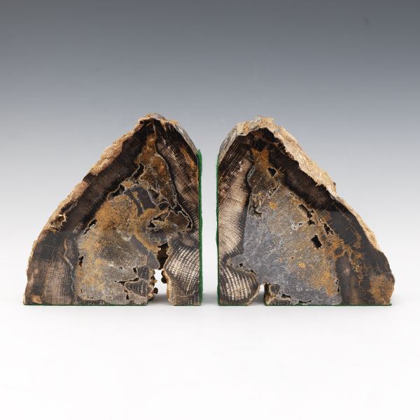 PREHISTORIC AGATIZED PETRIFIED WOOD