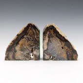 PREHISTORIC AGATIZED PETRIFIED