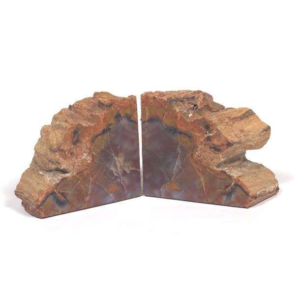 PREHISTORIC AGATIZED PETRIFIED WOOD