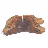 PREHISTORIC AGATIZED PETRIFIED