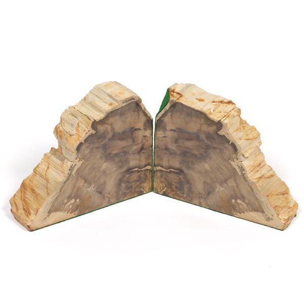 PREHISTORIC AGATIZED PETRIFIED WOOD