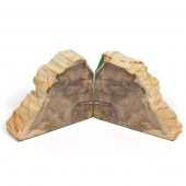 PREHISTORIC AGATIZED PETRIFIED