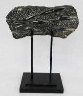 PREHISTORIC ORTHOCERAS FOSSIL