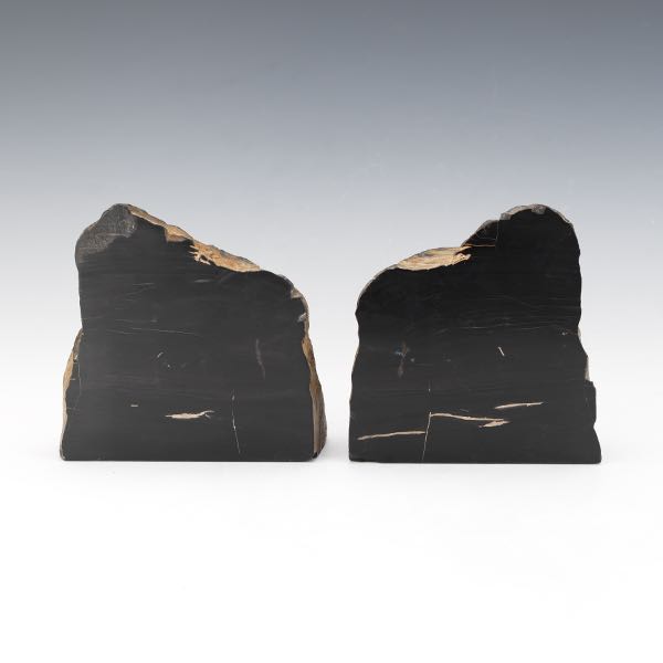 PREHISTORIC PETRIFIED WOOD JET BOOK