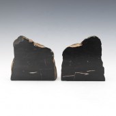 PREHISTORIC PETRIFIED WOOD JET