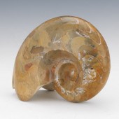 PREHISTORIC PYRITIZED AMONITE