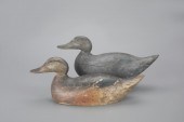 PREMIER-GRADE BLACK DUCK & MAL