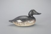PREMIER-GRADE GOLDENEYE HENMas