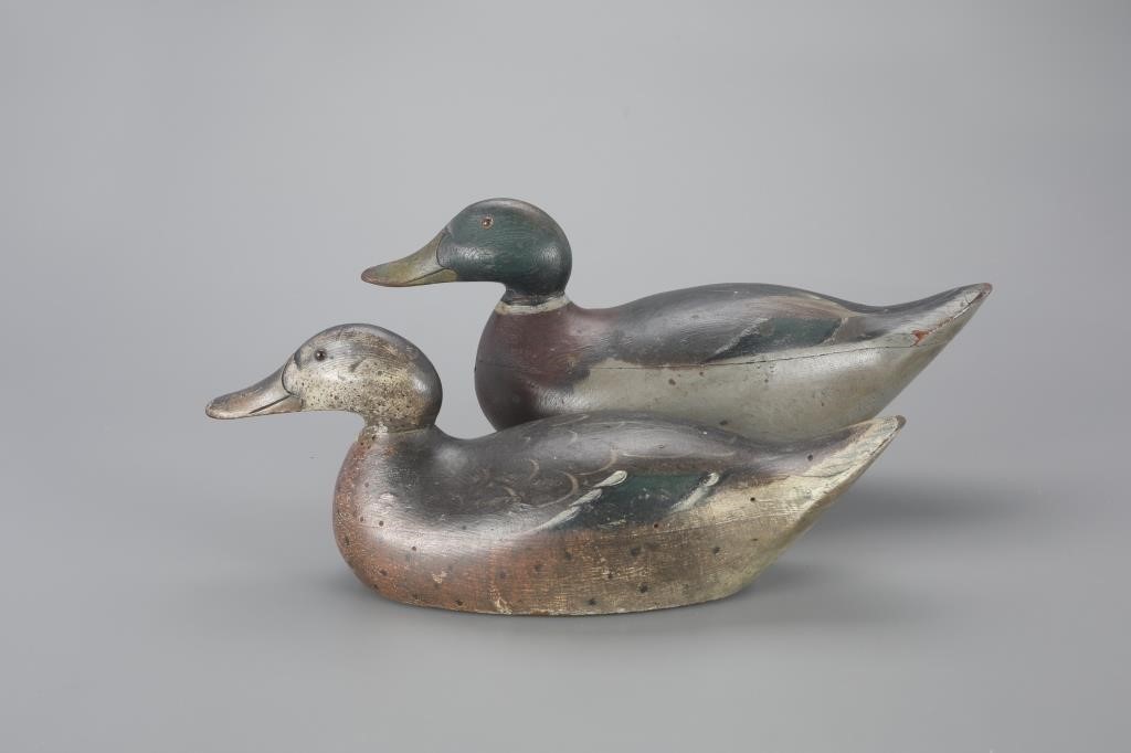 PREMIER-GRADE MALLARD PAIRMason