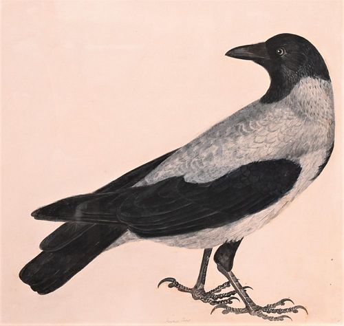 PRIDEAUX JOHN SELBY BRITISH, 1788 -