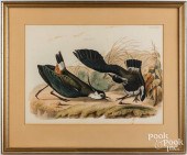 PRIDEAUX JOHN SELBY ENGRAVINGP