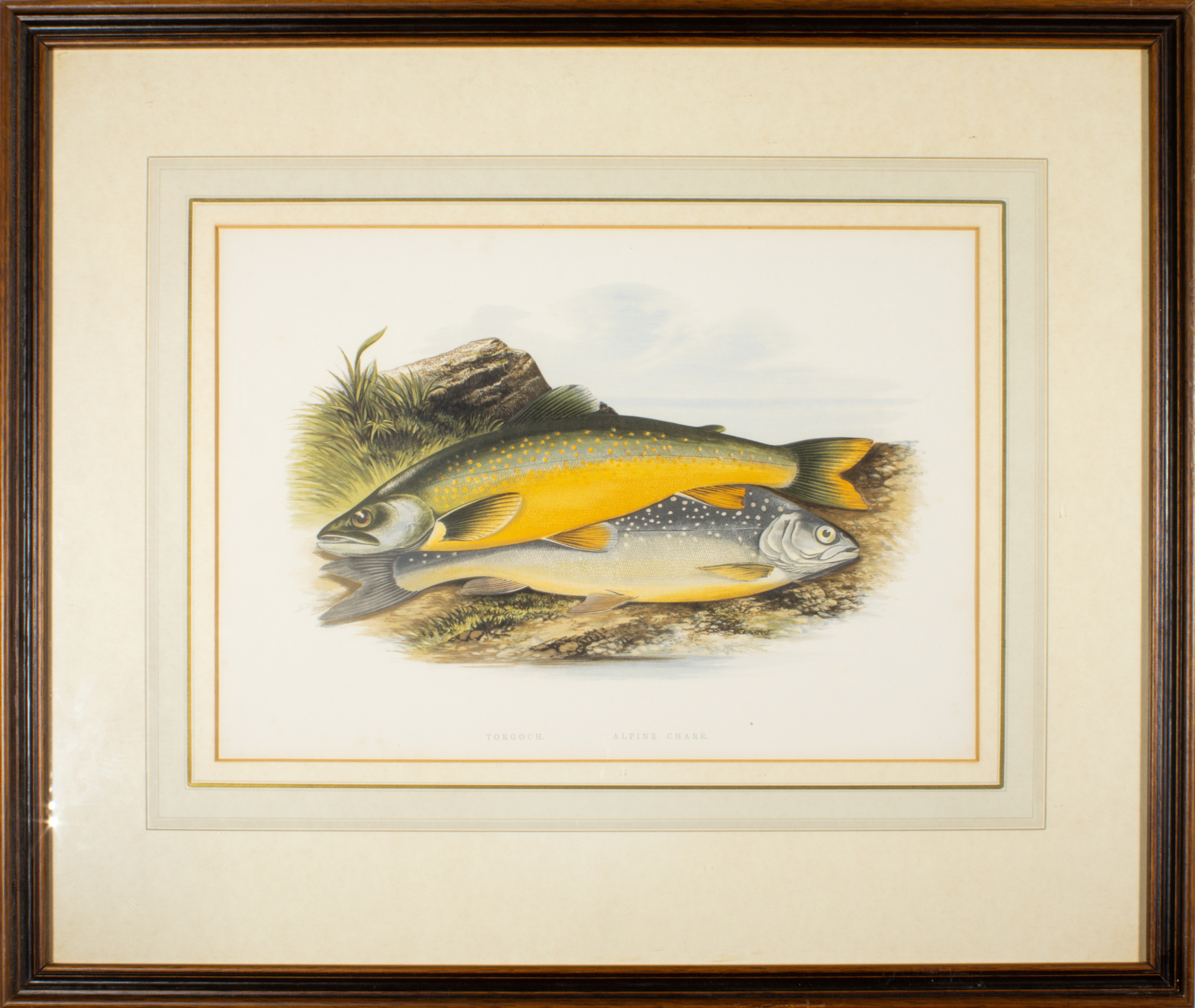 PRINT, AFTER FRANCIS ALEXANDER