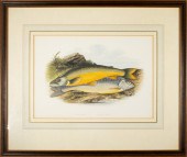 PRINT, AFTER FRANCIS ALEXANDER