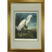 PRINT, AFTER JOHN JAMES AUDOBO