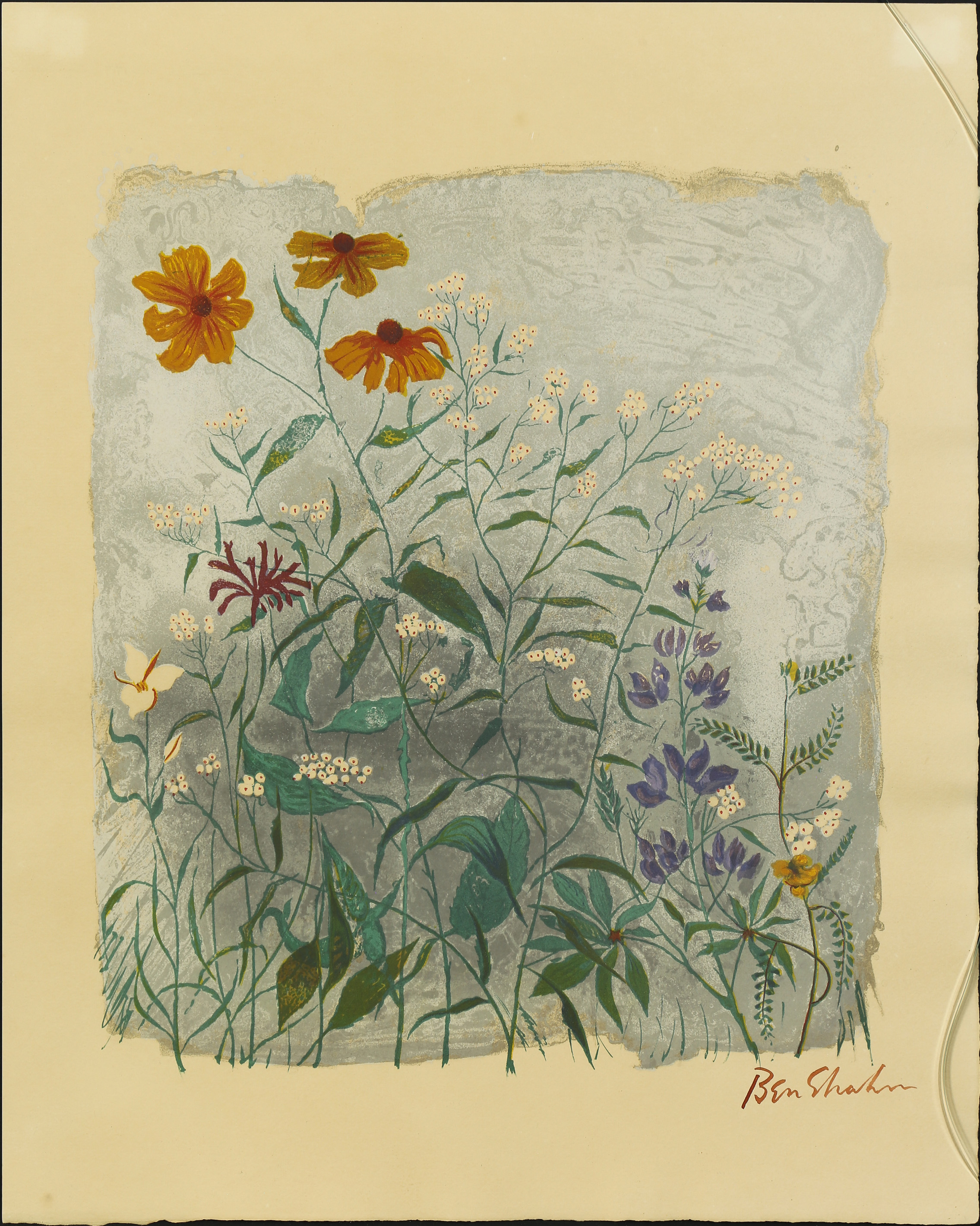 PRINT, BEN SHAHN Ben Shahn
