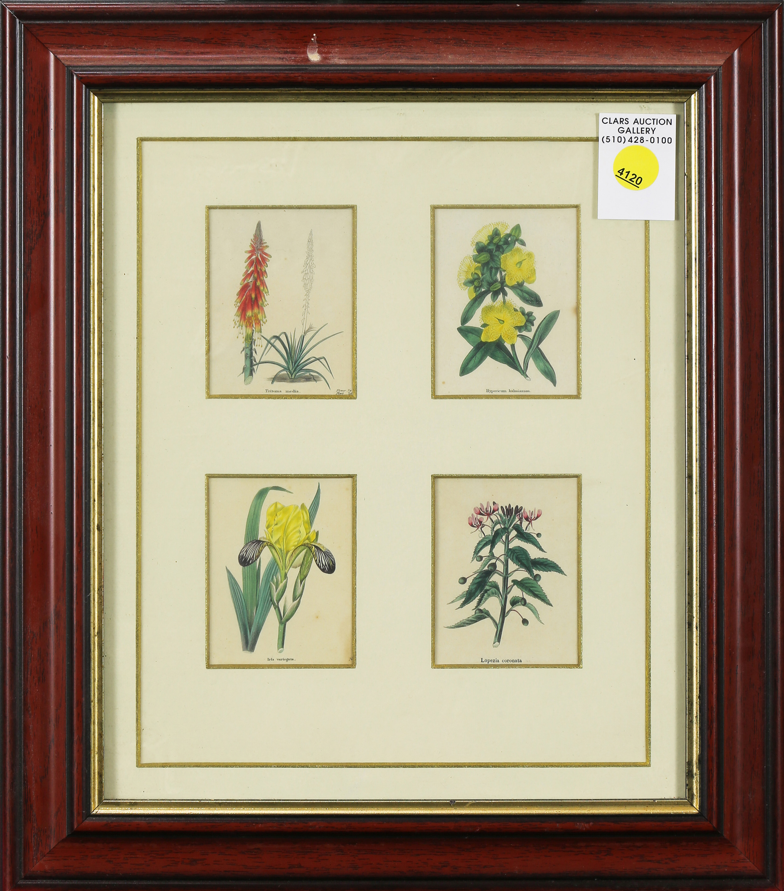 PRINT, BENJAMIN MAUND Benjamin
