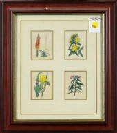 PRINT, BENJAMIN MAUND Benjamin
