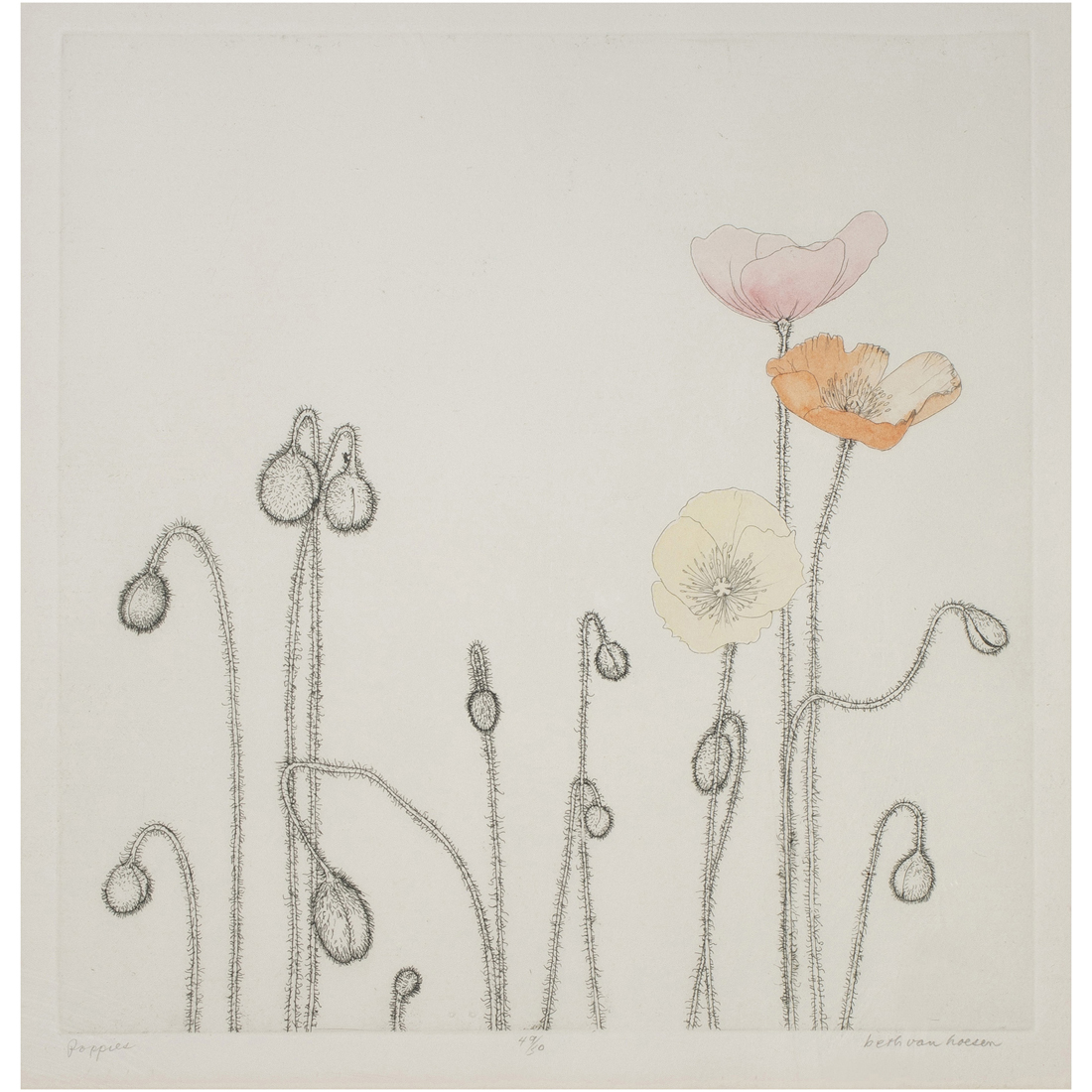 PRINT, BETH VAN HOESEN Beth Van