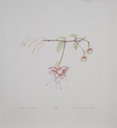 PRINT, BETH VAN HOESEN Beth va