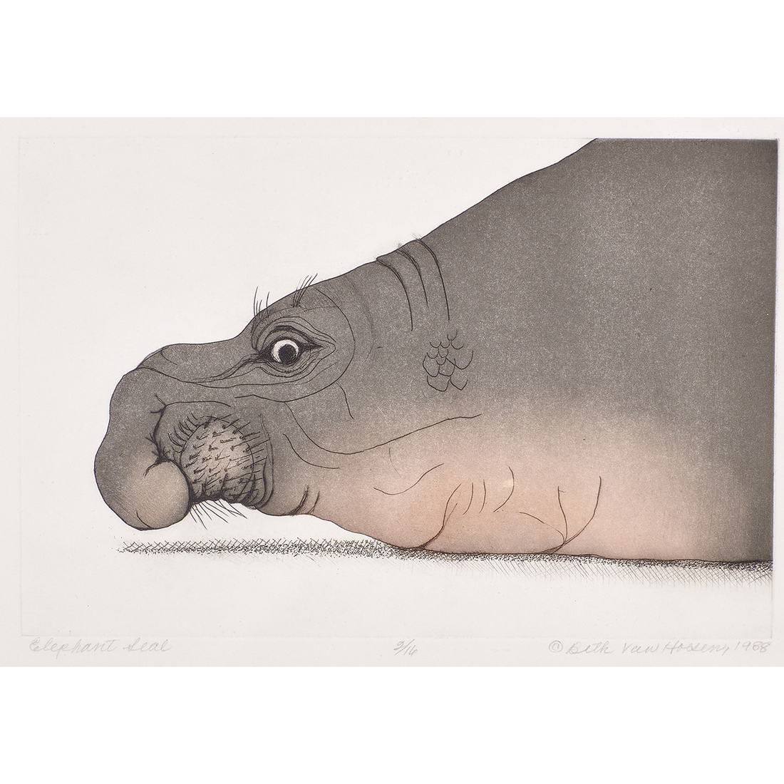 PRINT, BETH VAN HOESEN Beth Van
