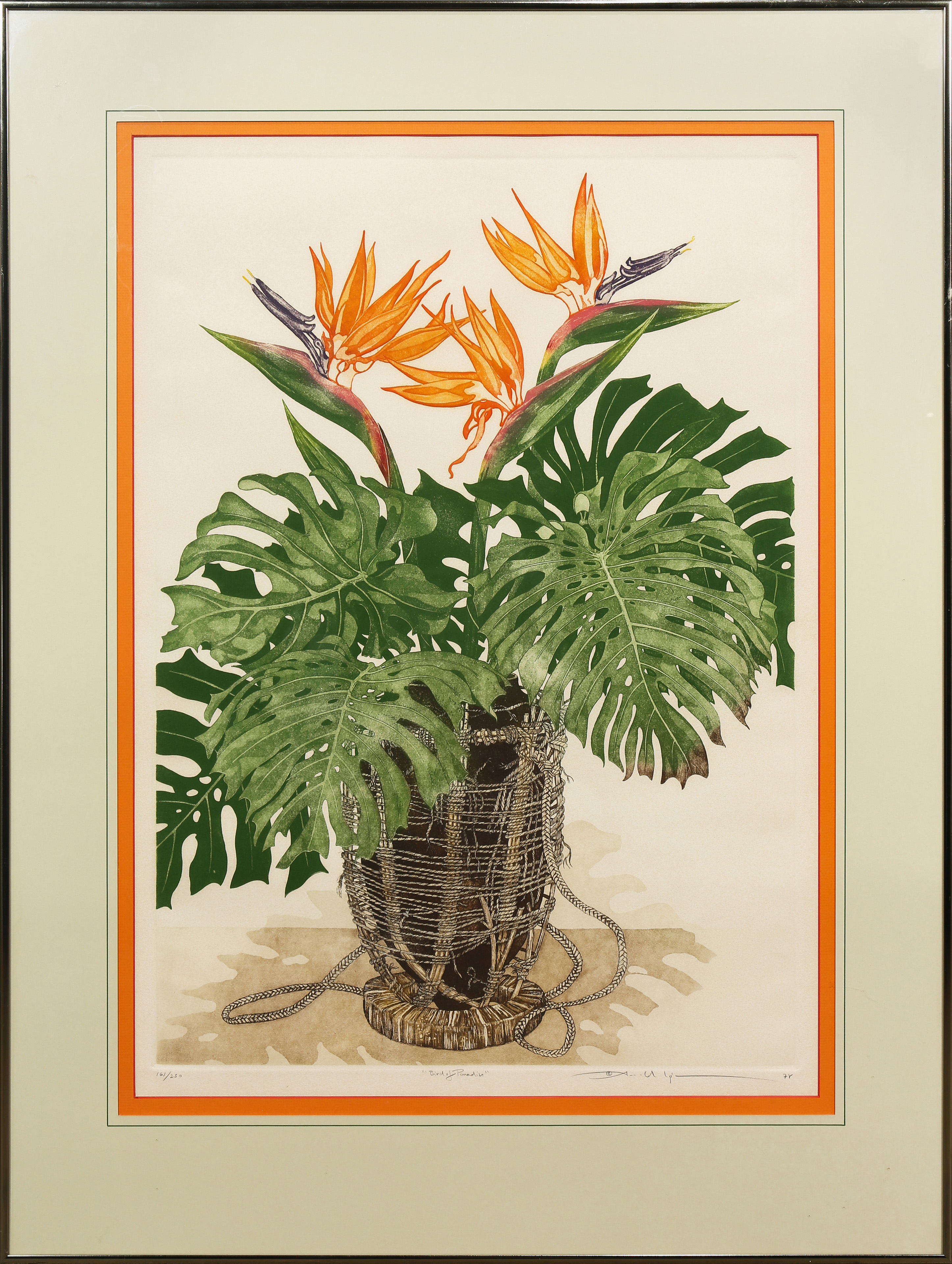 PRINT, BIRD OF PARADISE "Bird of