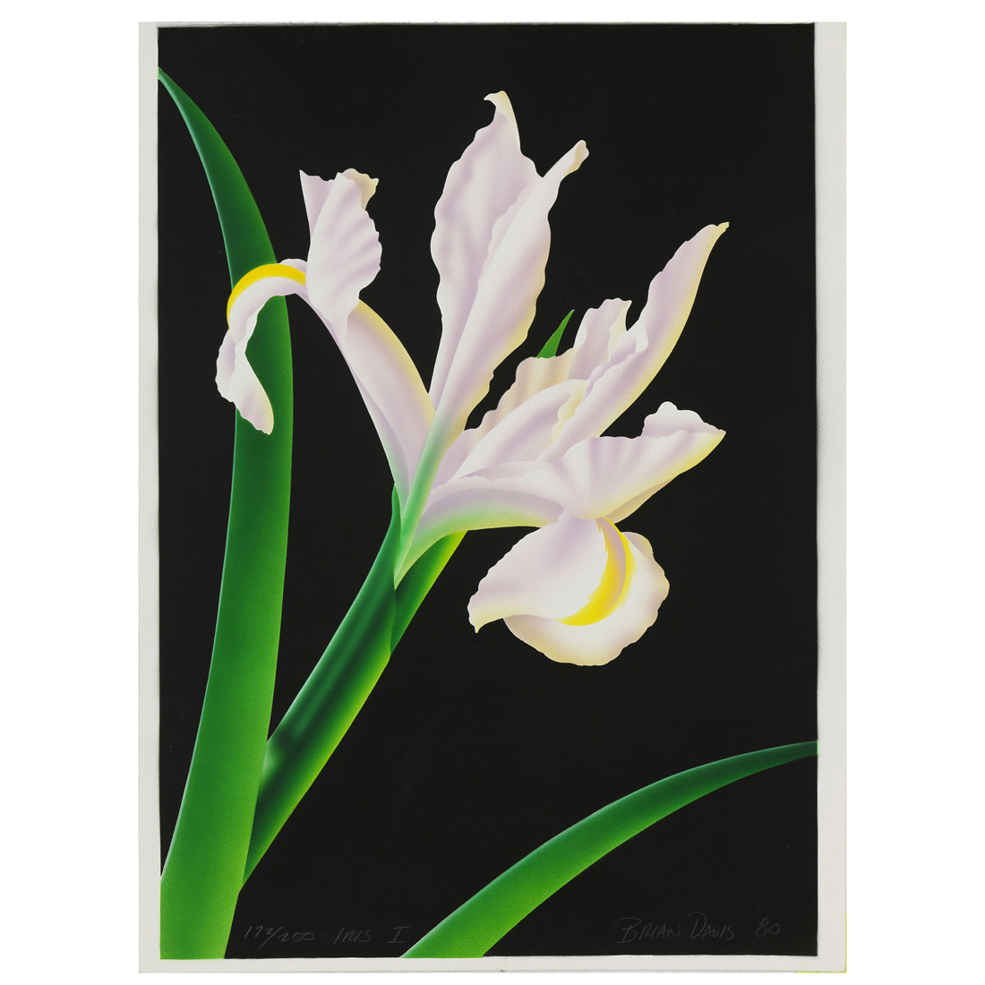 PRINT, BRIAN DAVIS Brian Davis