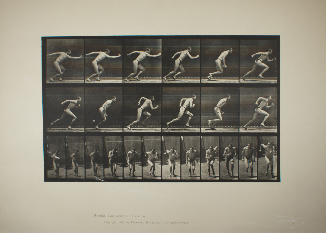 PRINT, EADWEARD MUYBRIDGE