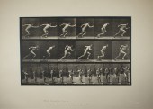 PRINT, EADWEARD MUYBRIDGE Eadw