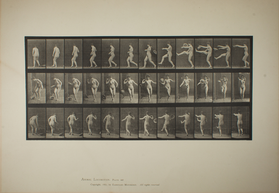 PRINT, EADWEARD MUYBRIDGE