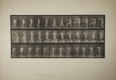 PRINT, EADWEARD MUYBRIDGE Eadw