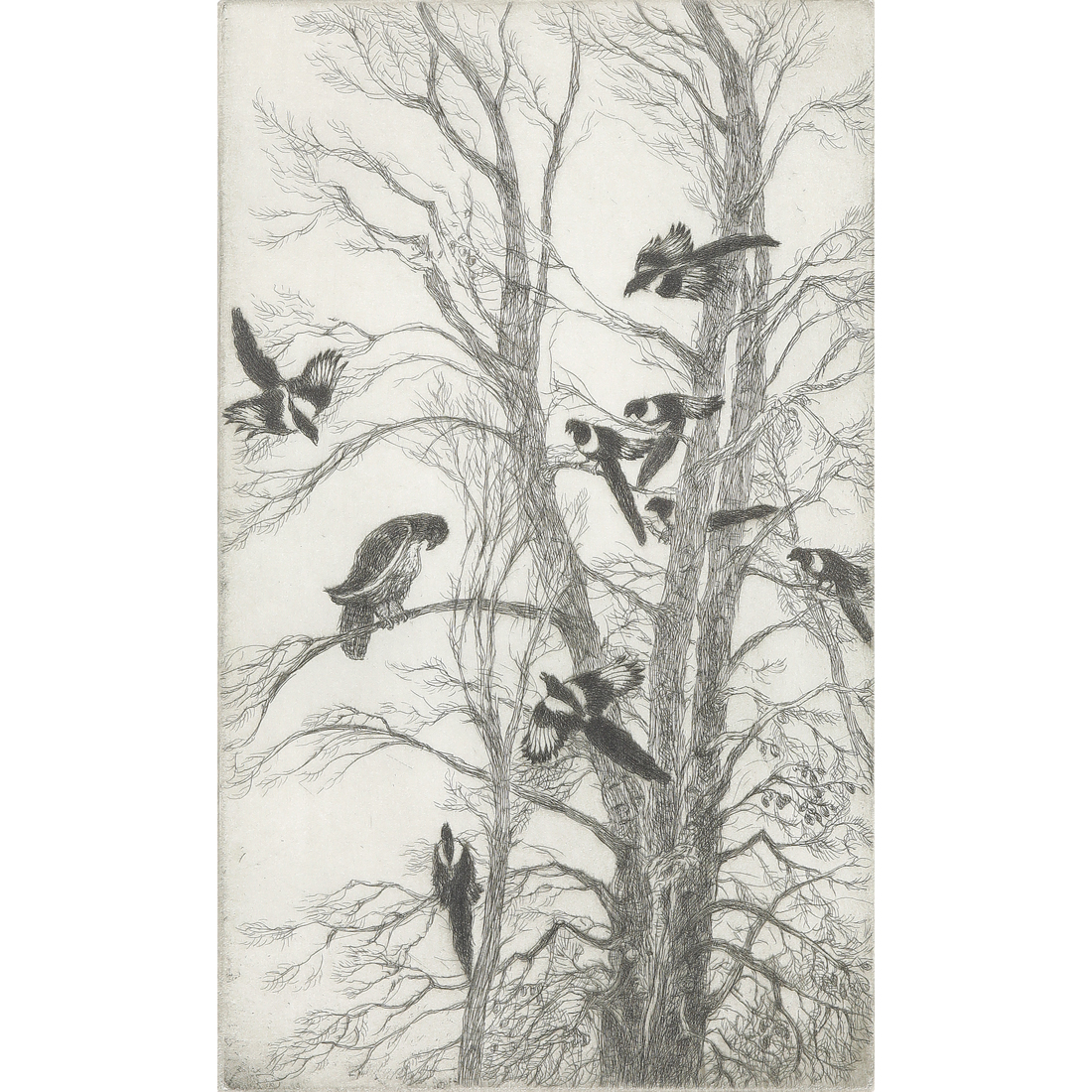 PRINT, GENE KLOSS Gene Kloss