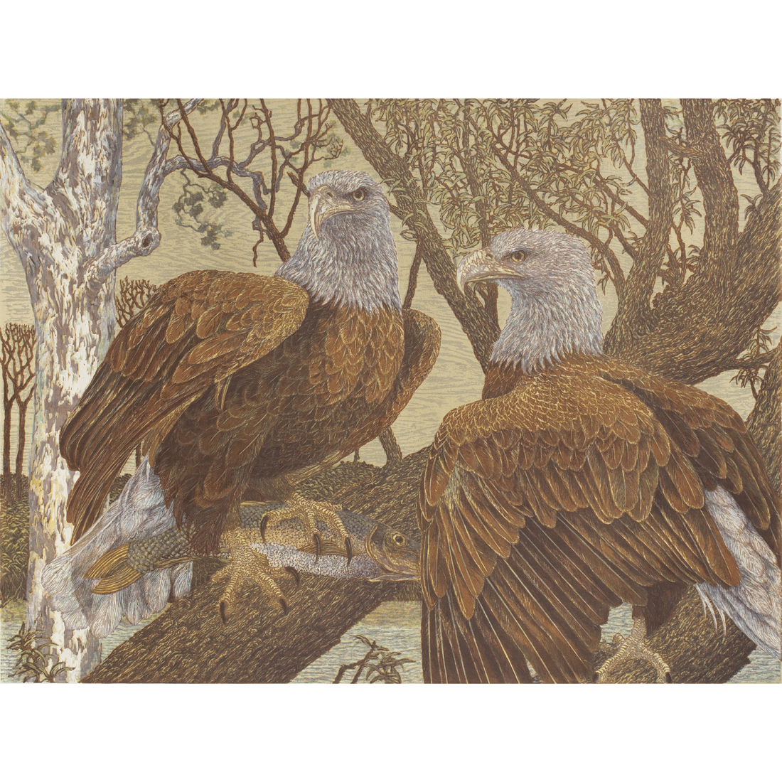 PRINT, JANET TURNER Janet Turner