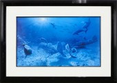 PRINT, JARRETT HOLDERBY Jarret
