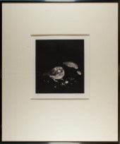PRINT, KAORU SAITO Kaoru Saito