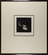 PRINT, KAORU SAITO Kaoru Saito