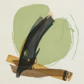 PRINT, RIKIO TAKAHASHI Rikio T