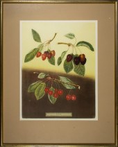 PRINTS, AFTER GEORGE BROOKSHAW