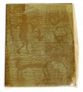 PRINTS IN THE DESERT, AUTUMN,