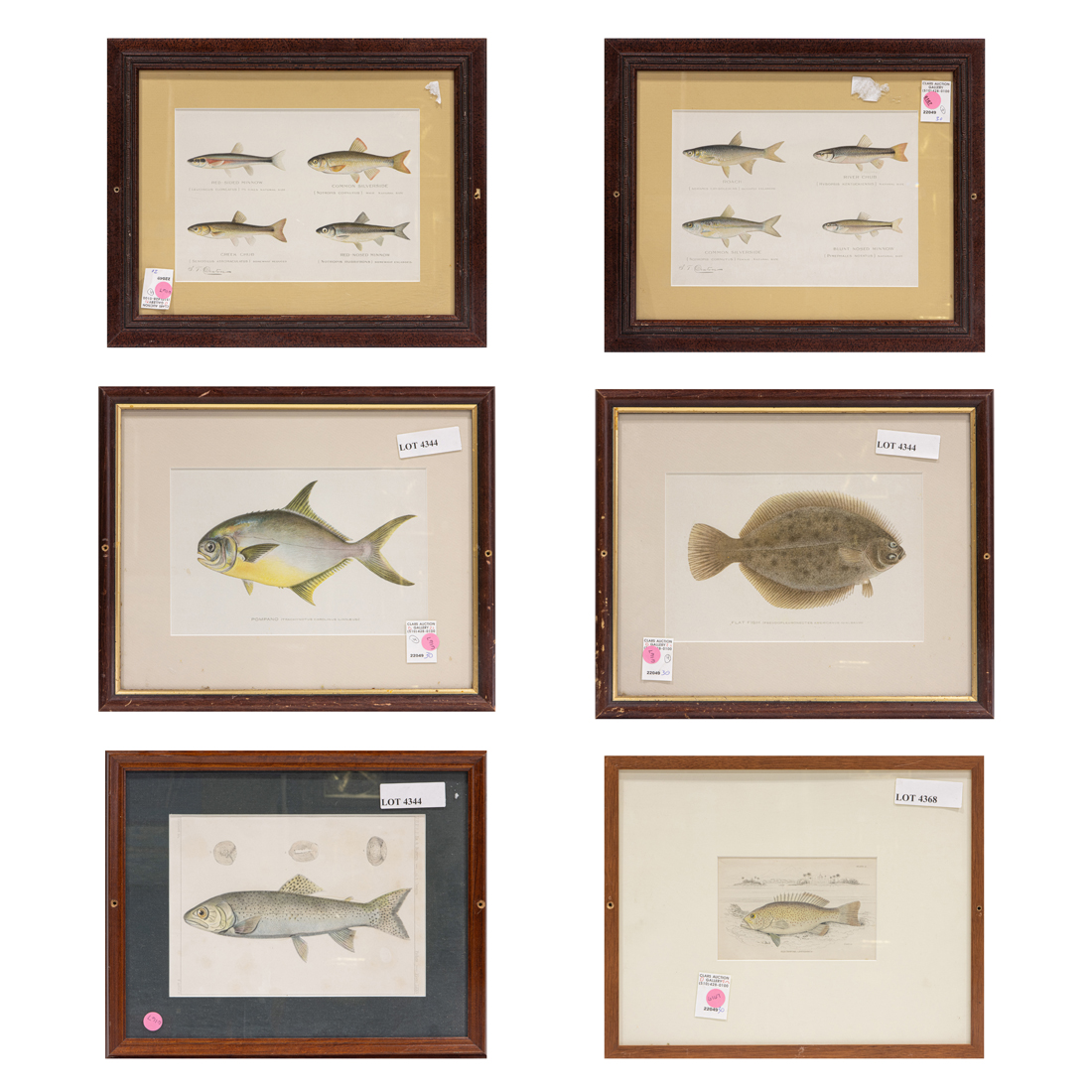 PRINTS, SHERMAN FOOTE DENTON (lot