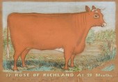 PRIZE COW PTG, ROSE OF RICHLAN
