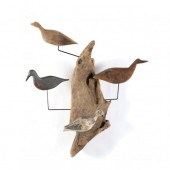 PUBLISHED CORE SOUND SHOREBIRD
