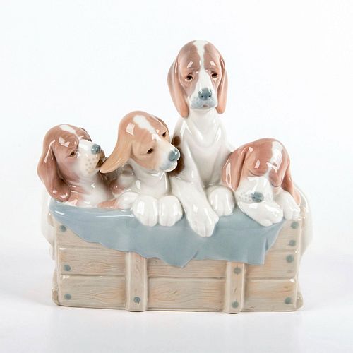 PUP'S IN THE BOX 1001121 - LLADRO