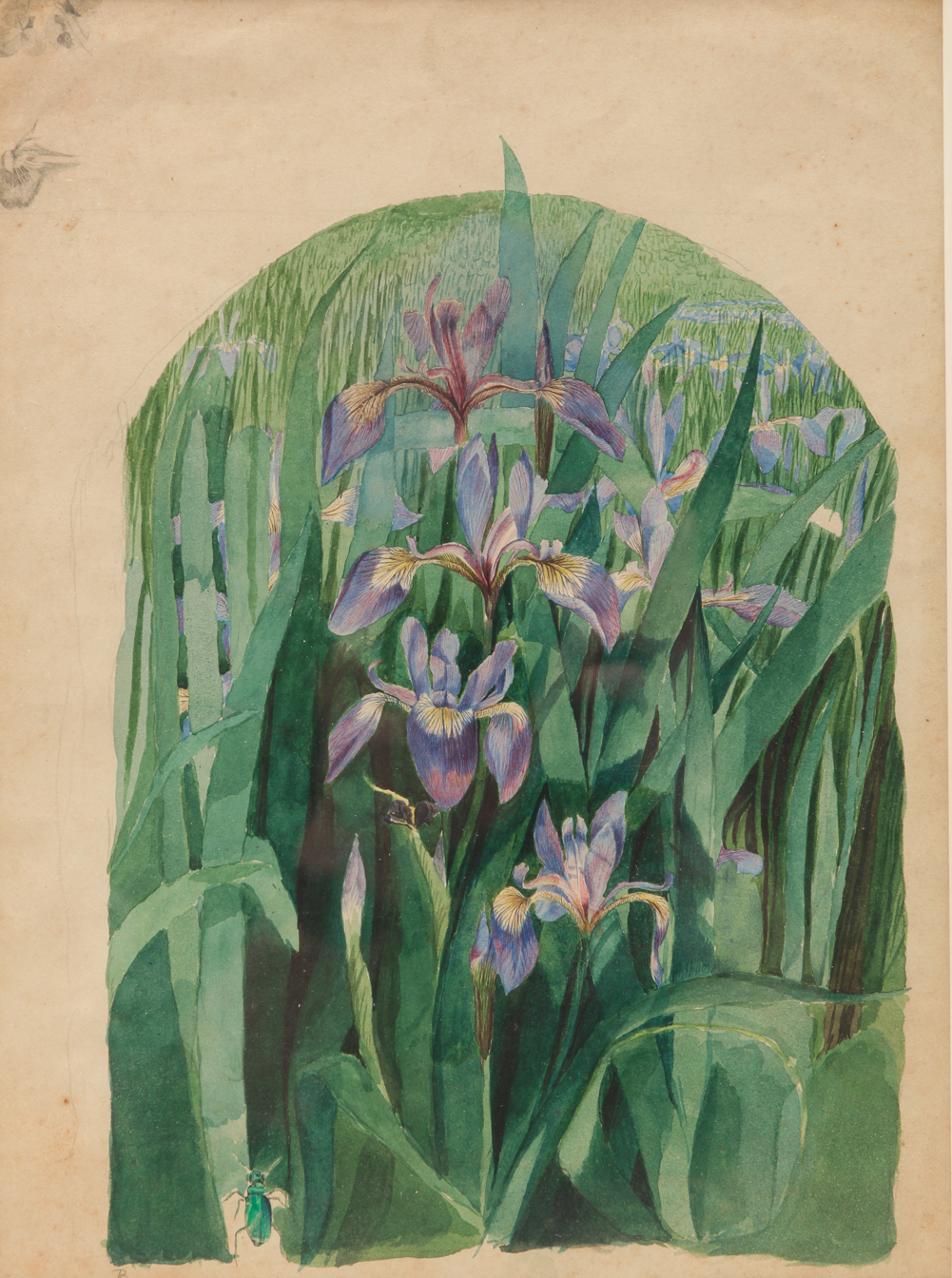 "PURPLE IRIS" BY ROBERT BOLLING