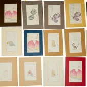 QI BAISHI, COLLECTION OF VINTA